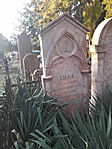 20241215_151950