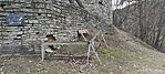 IMG_20241207_144558