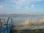 vízpart