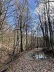 IMG_5647