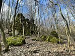IMG_5645