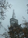 IMG_20241208_102333_858.jpg_compressed