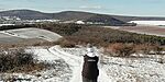 IMG_20241123_105702