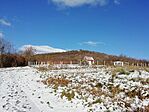 IMG_20241123_114804