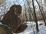 IMG_20241123_122722