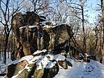 IMG_20241123_122758