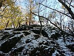 IMG_20241123_141200