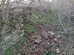IMG_20241123_155741573_MFNR