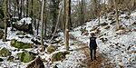 IMG_20241124_094641