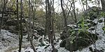 IMG_20241124_094715