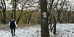 IMG_20241124_103041