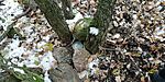 IMG_20241124_102508