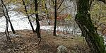 IMG_20241124_105214