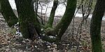 IMG_20241124_105147