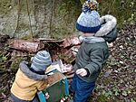 IMG_20241215_121732764_MFNR