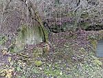 IMG_20241215_122622033_MFNR