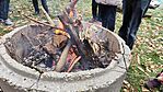IMG_20241231_110316.jpg