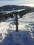 IMG_20241230_144426_1