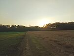 IMG_20241030_155028