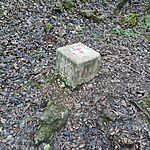 IMG_20241203_152534