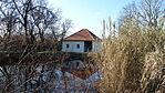 DSC01351