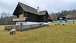IMG_20241130_130547
