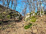 IMG_20241201_094705