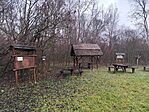 IMG_20241206_142140