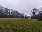 IMG_20241206_142143