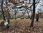 IMG_20241207_141840