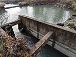 IMG_20241208_113458
