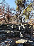 IMG_20241218_120203