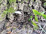 IMG_20241218_122757