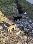 IMG_20241221_142214