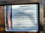 IMG_20241221_142526