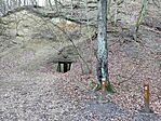 IMG_20241226_092156_1