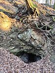 IMG_20241227_144948
