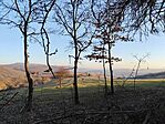 IMG_20241227_150811