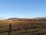 IMG_20241227_151834