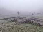 IMG_20241231_161335