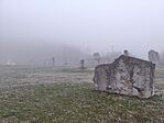 IMG_20241231_161549