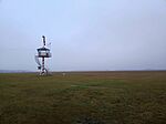 IMG_20241230_150223