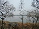 IMG_20241230_151653688_AE