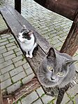 IMG_20241230_120829725_HDR_AE