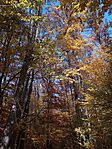 IMG_20241027_101055375
