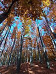 IMG_20241027_101334111