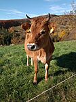 IMG_20241029_093517895