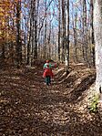 IMG_20241029_102653707