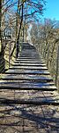 IMG_20241221_123759
