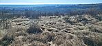 IMG_20241227_120423